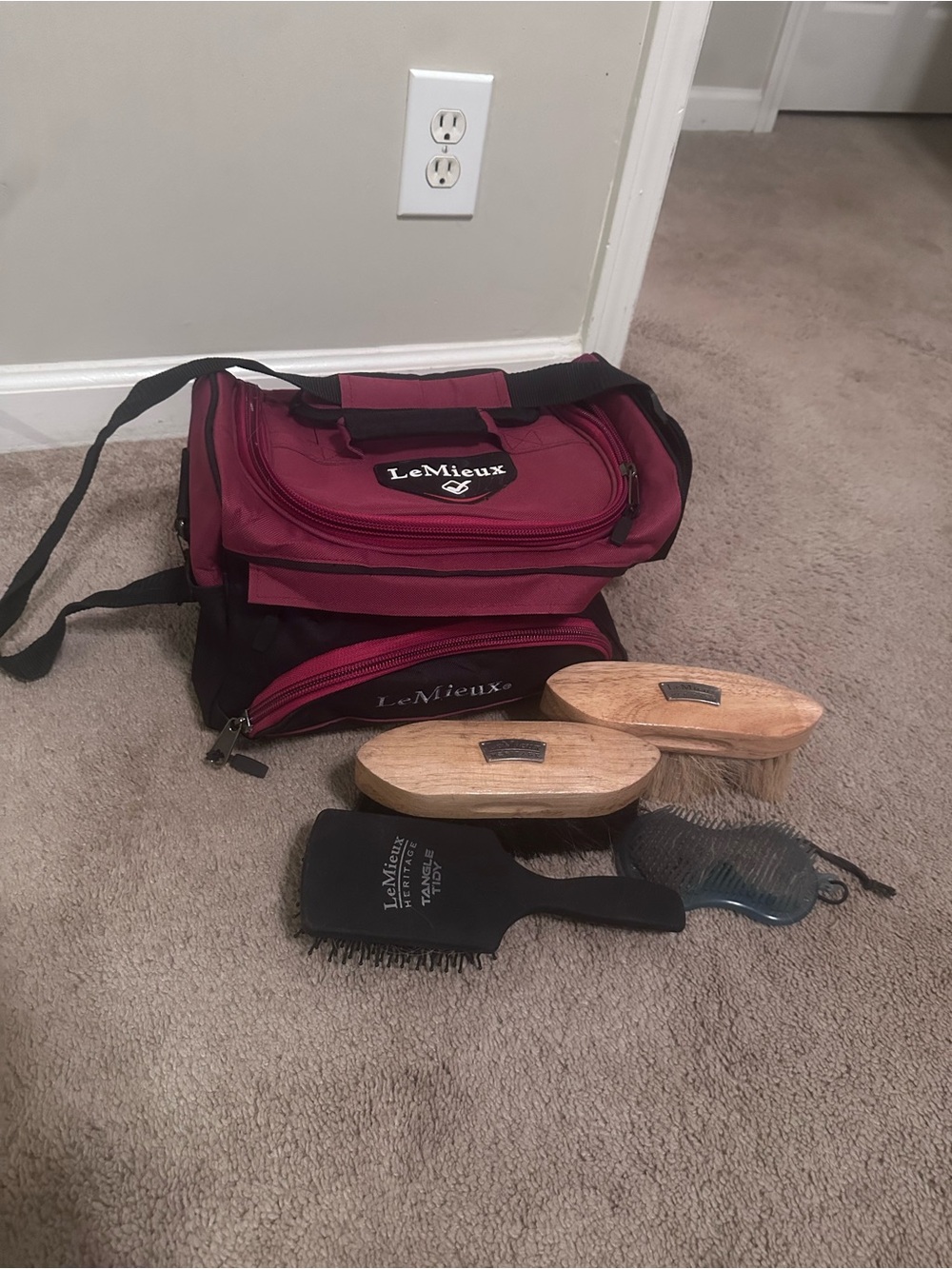 Le Meuix brush bag and brushes
